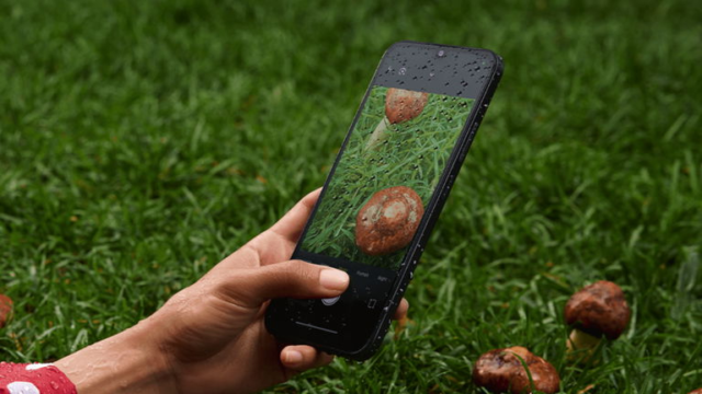 Este-movil-ultrabarato-de-Xiaomi-brilla-en-el-segmento-de.png