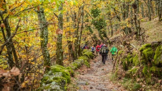 Otono-en-estado-puro-siete-parques-nacionales-para-vivir-la.jpg