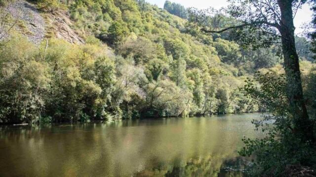 Un-sendero-corto-y-sencillo-para-despertar-los-sentidos-en.jpg