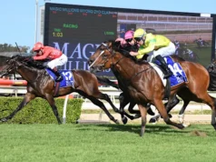 Consejos carrera por carrera y avances para la reunión de Wyong del domingo