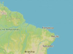 VIDEO: ¿Modelo de transporte sustentable? Policías montan búfalos en una isla brasileña