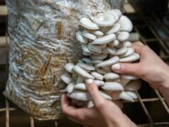 El nutricionista Aitor Sánchez, sobre cómo organizar la compra: “No sabemos gestionar los excedentes en el hogar”