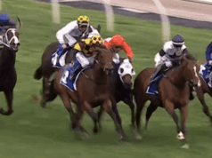 Diez lecciones de las carreras de primavera: Jamie Melham gobernó, pero eliminaron las partes malas