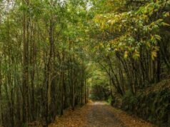 La diminuta aldea de apenas 300 habitantes que alberga un puente medieval y es perfecta para visitar en otoño