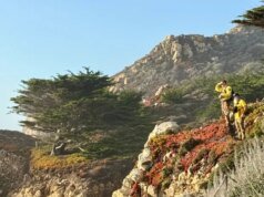 Autoridades de Monterey buscan a un niño de 5 años arrastrado al océano