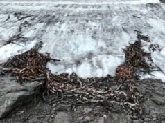 Tiene 1.500 años, pero se ha encontrado ahora y está desconcertando a los arqueólogos