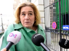 Van den Brandt no será presidente de Groen: “Mi responsabilidad es la formación”