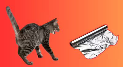 cats-and-alumnium-foil.jpg